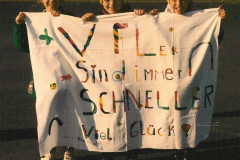 Vfler